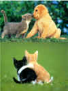 Freundschaft
