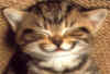 keep smiling