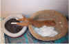 mein Doppelbett